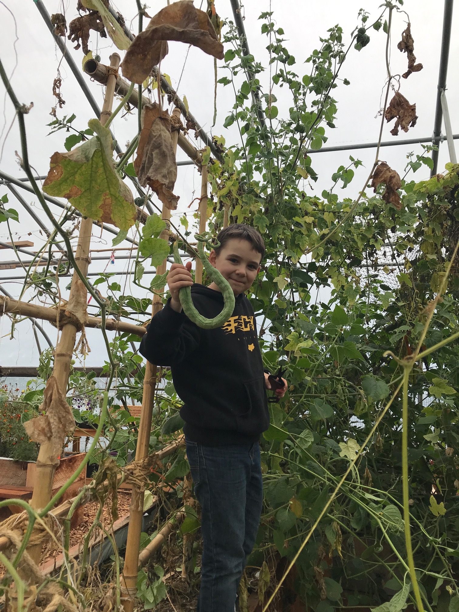 Greenhouse